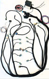 LS Standalone Gen IV 58x Wiring Harness