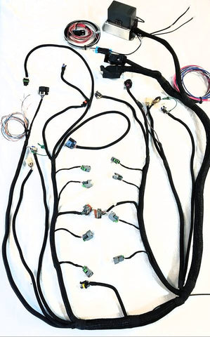 LS Standalone Gen IV 58x Wiring Harness